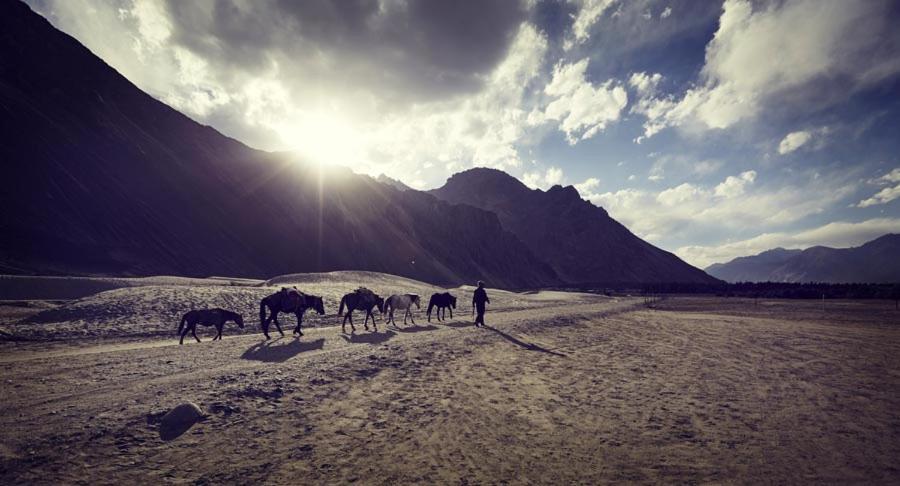 Chamba Camp Diskit Nubra Exterior photo