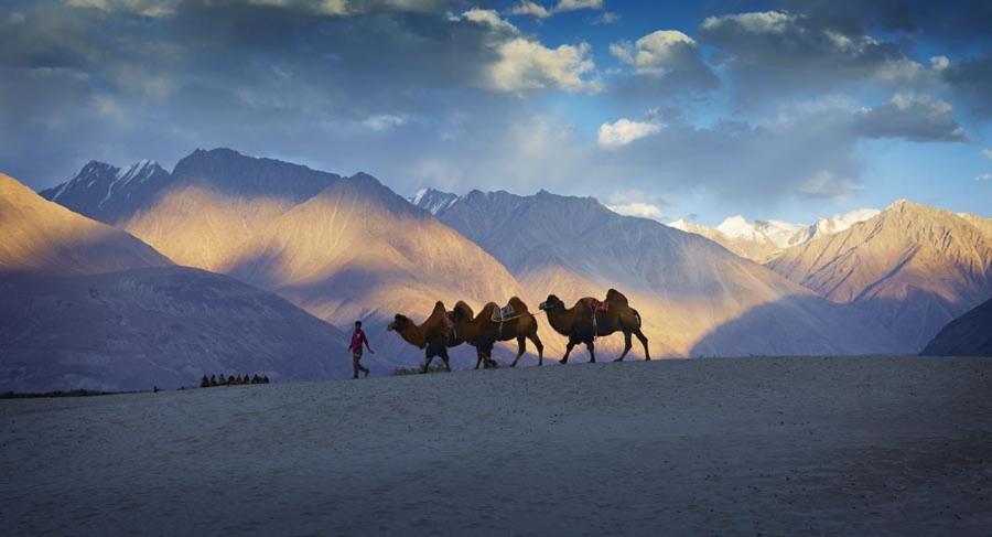 Chamba Camp Diskit Nubra Exterior photo